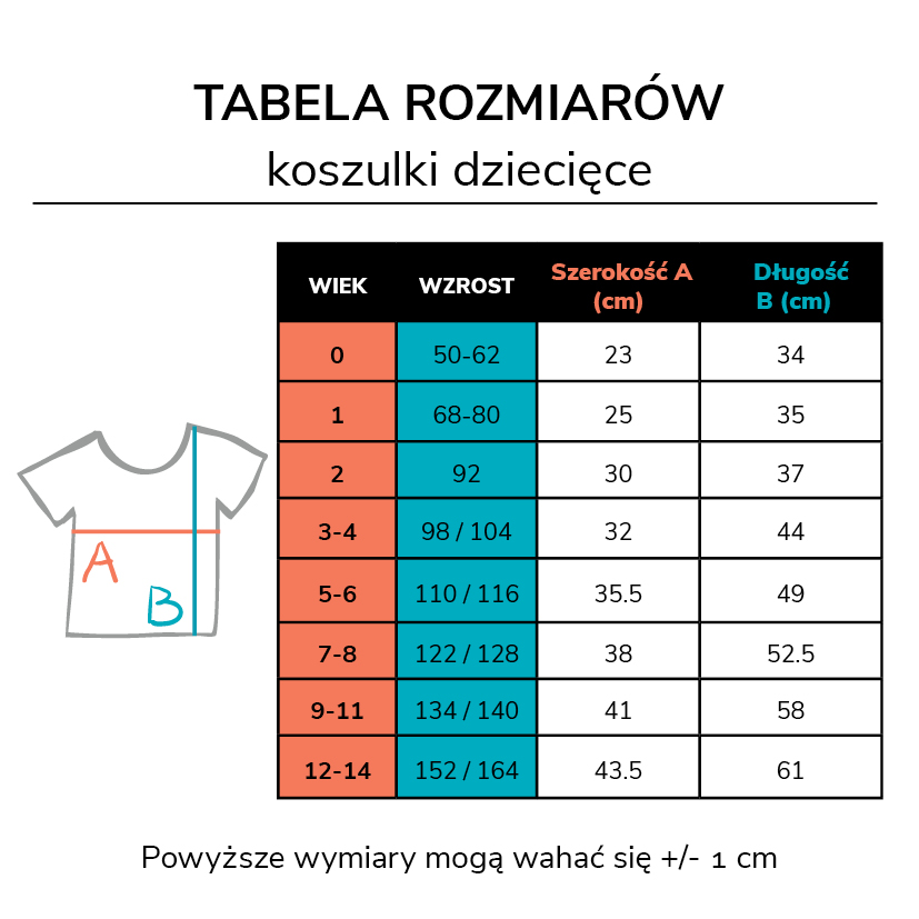 Rozmiar&oacute;wka t-shirty dziecięce