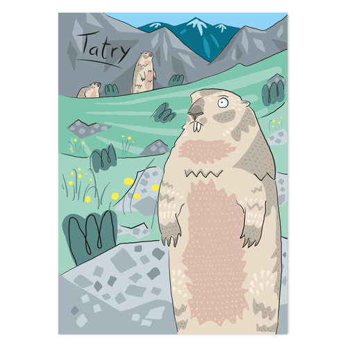 Pocztówka Tatry Świstak 2