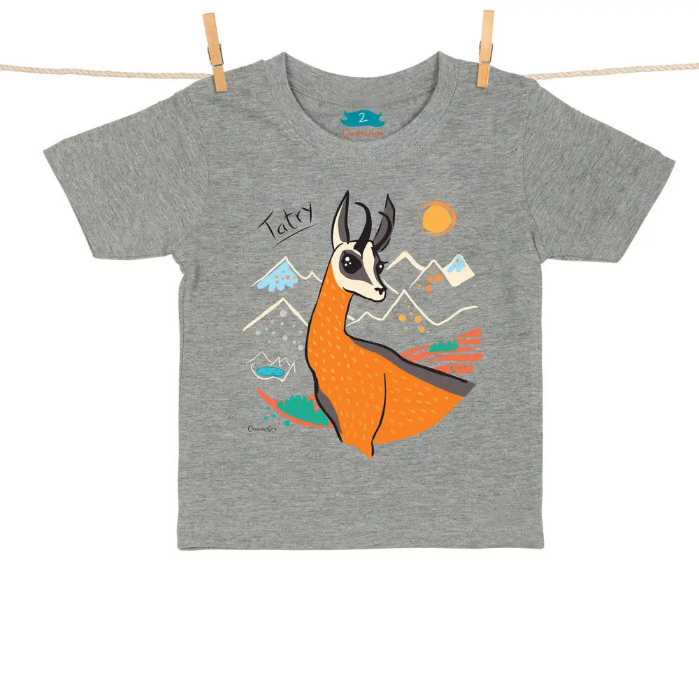 Tshirt Dziecięcy Tatry Kozica szary 1 rok 1