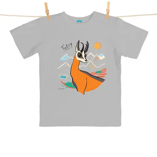 Tshirt Dziecięcy Tatry Kozica szary 7-8 lat 1