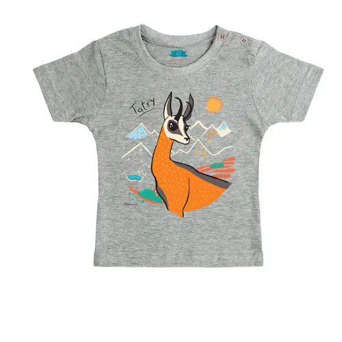Tshirt Dziecięcy Tatry Kozica szary, od 0 do 1 roku 1