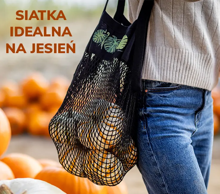 idealna siatka na jesień